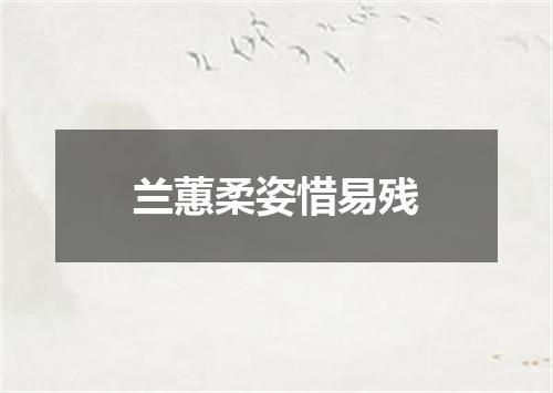 兰蕙柔姿惜易残