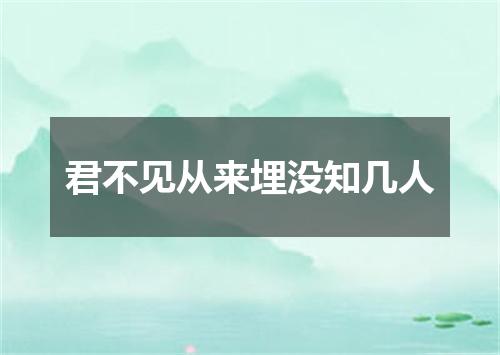 君不见从来埋没知几人