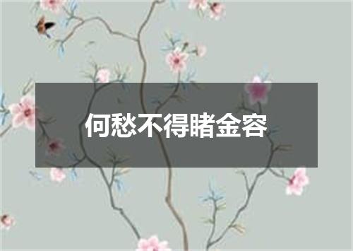 何愁不得睹金容
