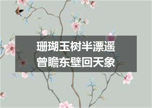 珊瑚玉树半漂遥曾瞻东壁回天象