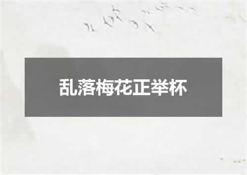 乱落梅花正举杯