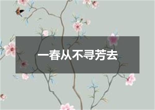 一春从不寻芳去