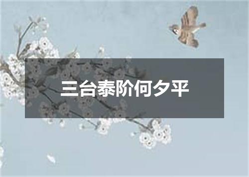三台泰阶何夕平