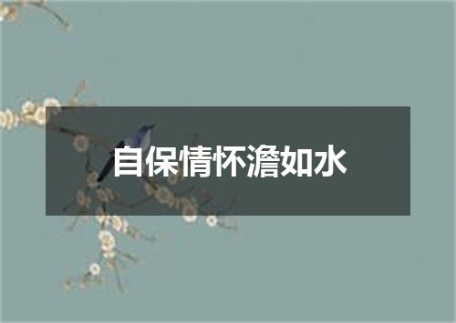 自保情怀澹如水