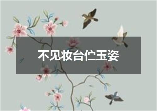 不见妆台伫玉姿