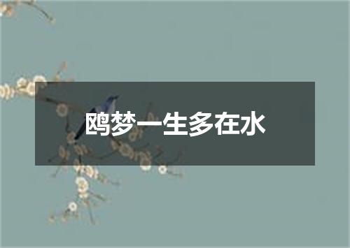 鸥梦一生多在水