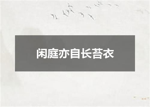 闲庭亦自长苔衣
