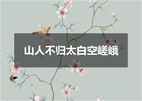 山人不归太白空嵯峨