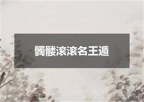 髑髅滚滚名王遁
