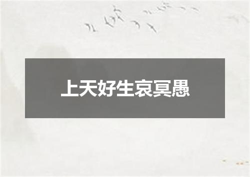 上天好生哀冥愚