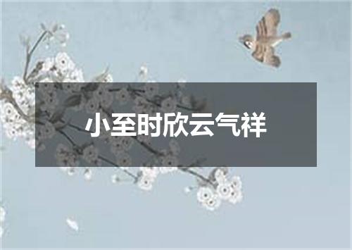 小至时欣云气祥
