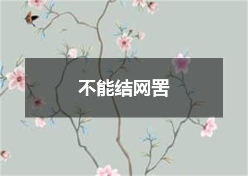 不能结网罟