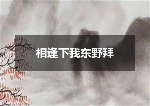 相逢下我东野拜