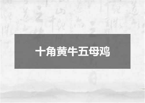 十角黄牛五母鸡