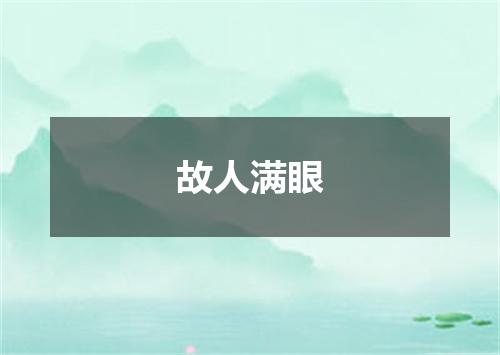 故人满眼