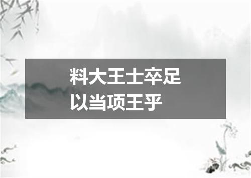 料大王士卒足以当项王乎