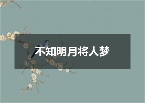不知明月将人梦