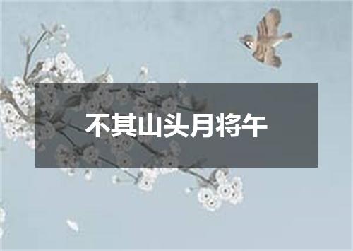 不其山头月将午
