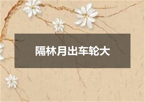 隔林月出车轮大