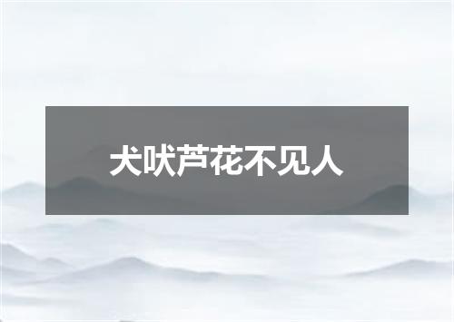犬吠芦花不见人