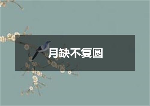 月缺不复圆