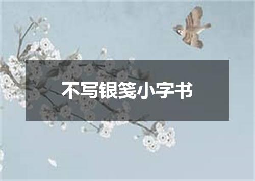 不写银笺小字书