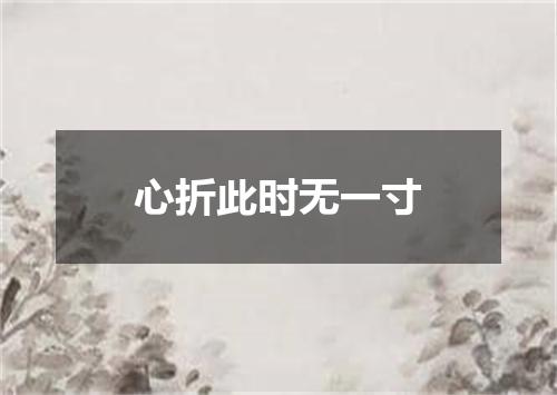 心折此时无一寸
