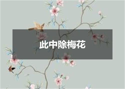 此中除梅花