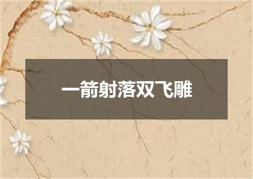 一箭射落双飞雕