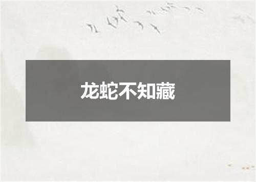 龙蛇不知藏