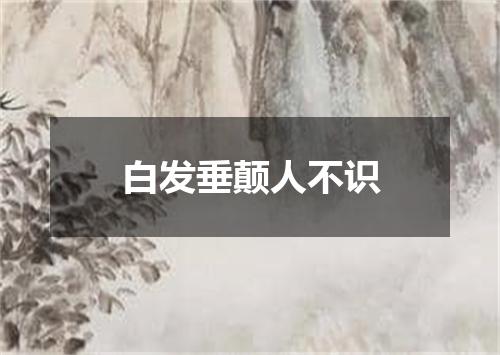 白发垂颠人不识