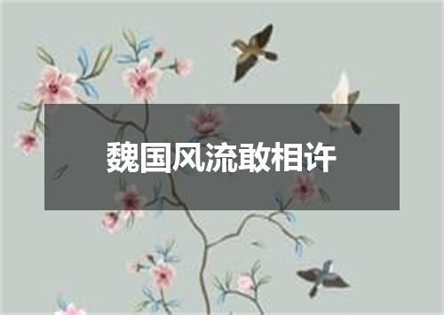 魏国风流敢相许