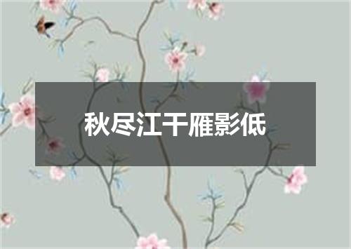 秋尽江干雁影低