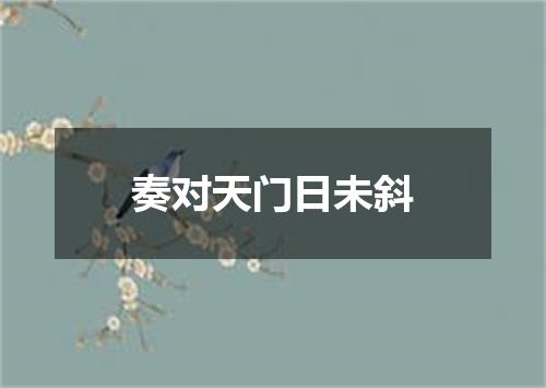 奏对天门日未斜
