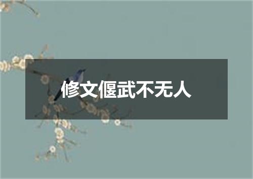 修文偃武不无人