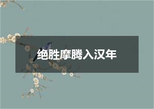 绝胜摩腾入汉年