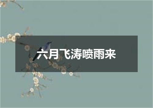 六月飞涛喷雨来