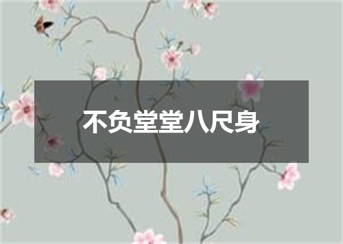 不负堂堂八尺身
