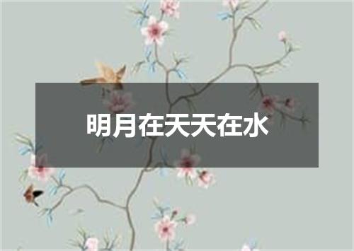 明月在天天在水