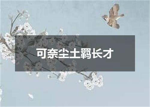 可奈尘土羁长才