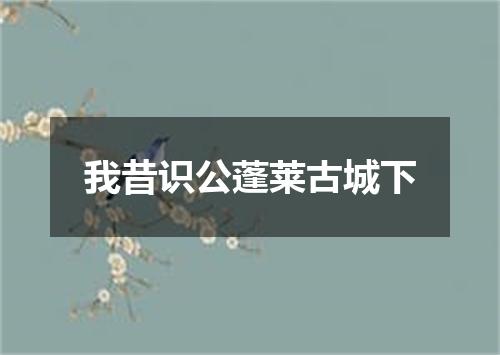 我昔识公蓬莱古城下