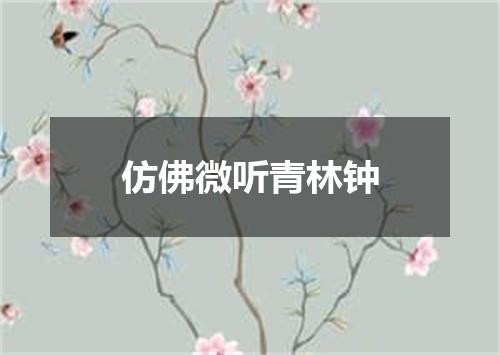仿佛微听青林钟