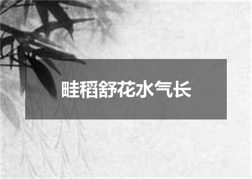 畦稻舒花水气长