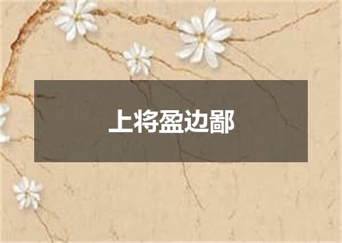 上将盈边鄙