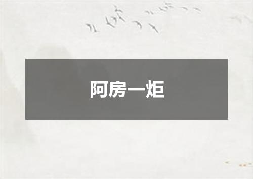 阿房一炬