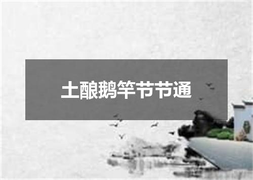 土酿鹅竿节节通