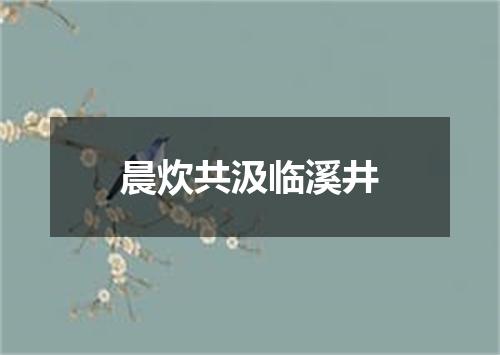 晨炊共汲临溪井