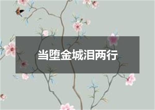 当堕金城泪两行