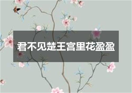 君不见楚王宫里花盈盈