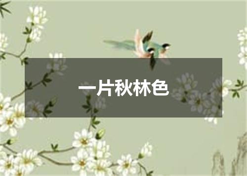 一片秋林色